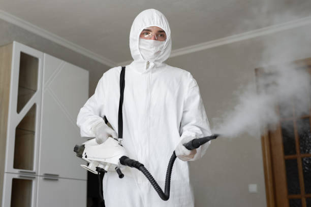 Mold Odor Removal Services in Logan, UT